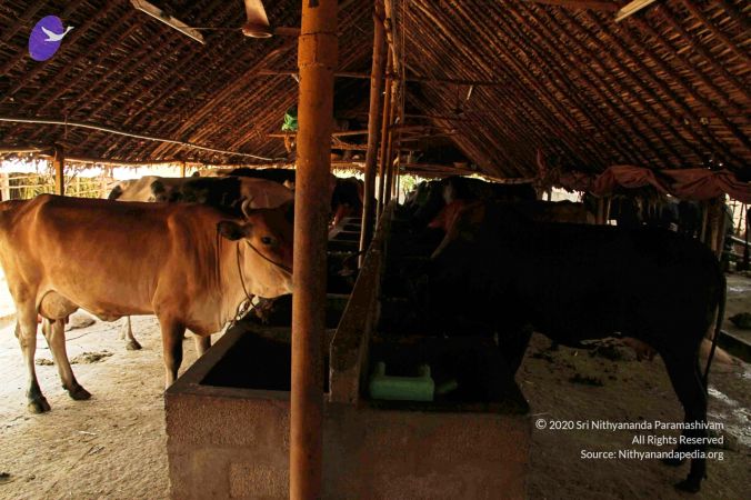 20120509 Photo 1231 1tzirQKLMiueZx9mcKL2QAda4Cbd194Et.JPG