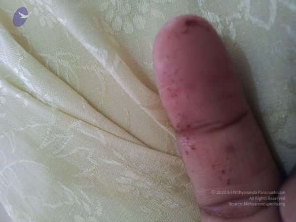 20120509 Photo 1371 1J4IbwS8HHAIG5f1KAKPaK79AgVpo981I.JPG