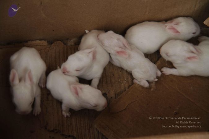 20120509 Photo 1379 1y8T48tgc6pmZeg ytwOFaDx0oLeDjYjG.JPG