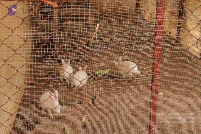 20120509 Photo 1393 15xuDF4Lbcex8bXIOT1DMPTorRMq3nUeV.JPG