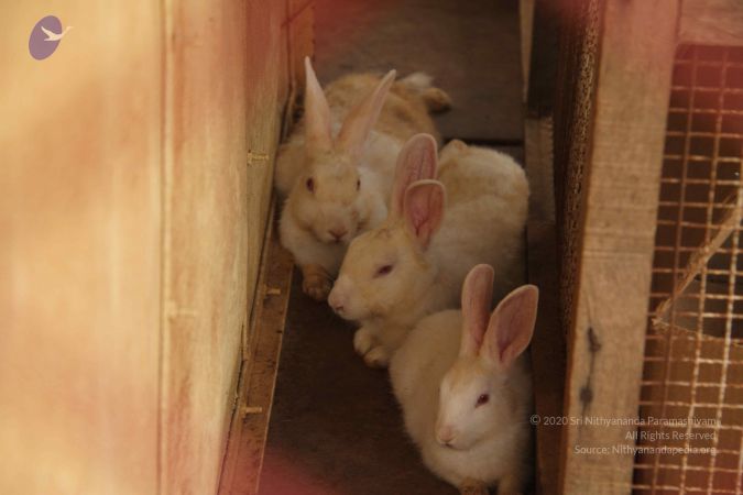 20120509 Photo 1395 1qgkhfAZS5gz3hpwXAgzL12SZY9MWhwPU.JPG