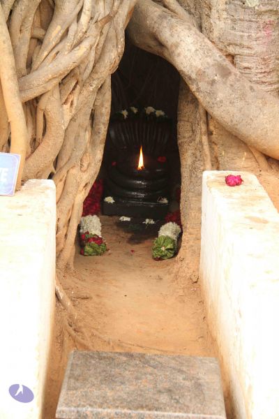 File:20120511 Photo 1008 1BRjrsX2Kau4hDKaNAbrxUgJlvxGH2SGt.JPG