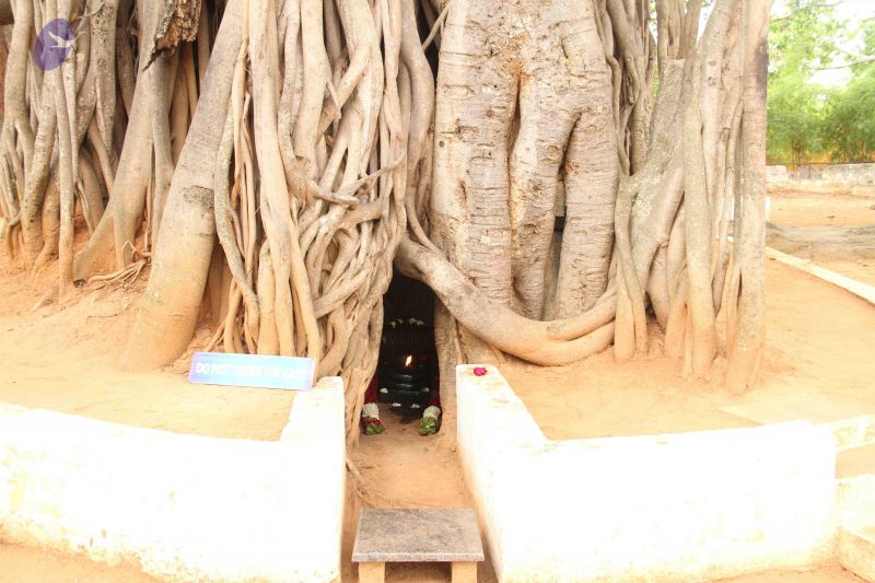 File:20120511 Photo 1063 1RPYCYPtg15I l9knSK7PJEzQ30hAb4fi.JPG