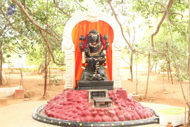 File:20120511 Photo 1065 1wMu jE0V1wUoXXwXpzJF4DP68-ncoDFX.JPG