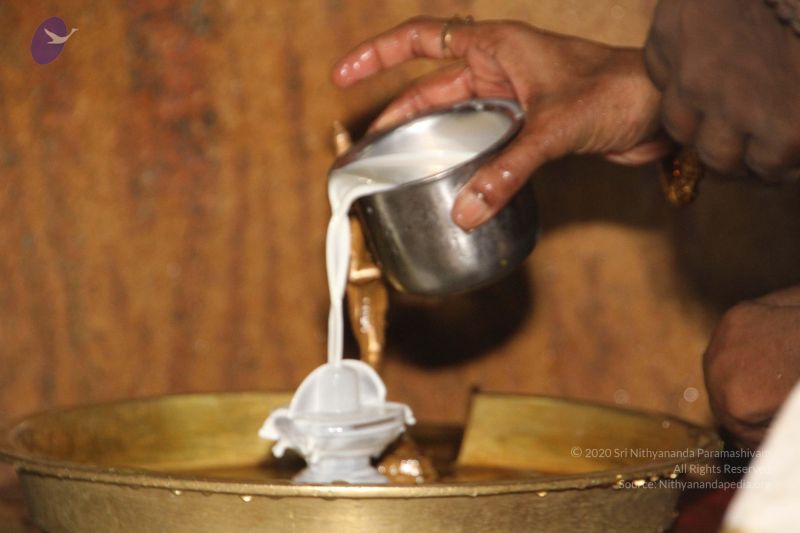 File:20120511 Photo 1312 1qA757o3wvWc1ycSZ-DLQIIzg9waYu1O7.JPG