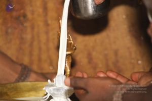 20120511 Photo 1313 1d1viMd9dqWDesyBHlOOQj5QRothVYNcV.JPG