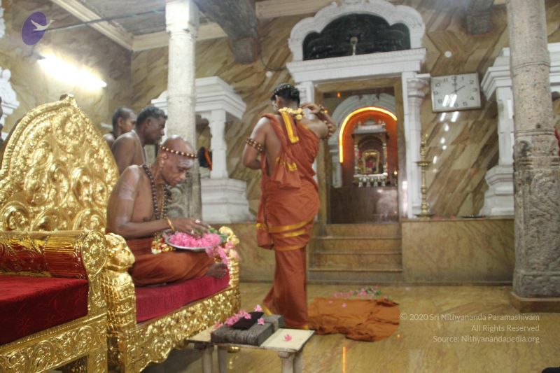 File:20120511 Photo 1375 1uNQpIeOQZk86lTRvHjX3 7 TfrjFzU6 .JPG