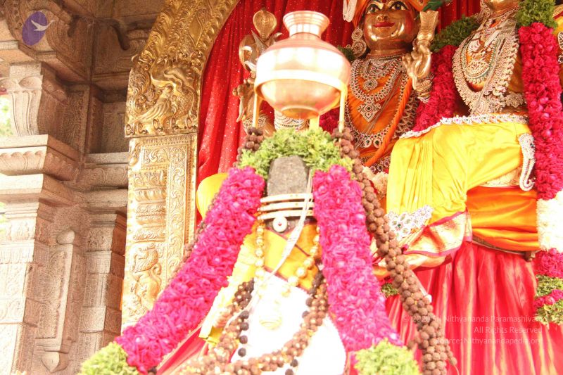 File:20120512 Photo 1030 1H Itq7c4qgdgfc0b0hHSspnCkFYUZUSw.JPG