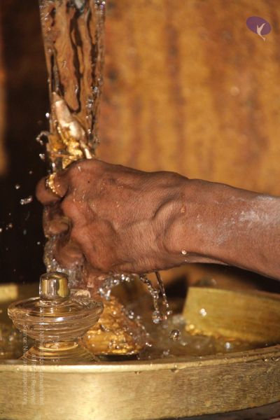 File:20120512 Photo 1132 1i1Ak3SRsyBaUymzzejPVyIk0F8aeqOvw.JPG