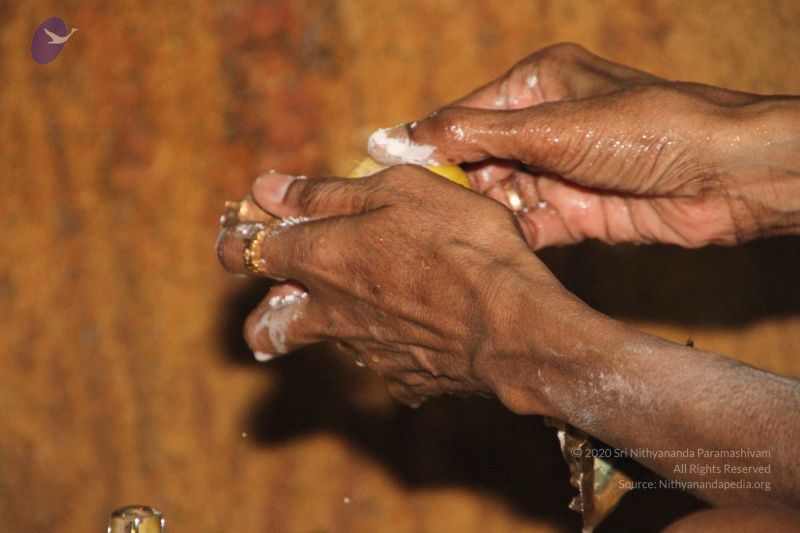 File:20120512 Photo 1239 16Dze F41Ow9PHSRf21kF13-jCsRD4WM5.JPG