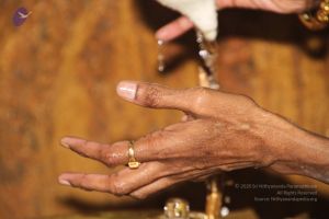 20120512 Photo 1250 144AJm5-rbsY17TsllMs2aAGhlJDfAjIy.JPG