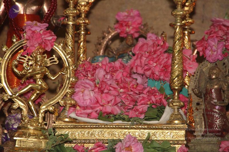 File:20120512 Photo 1264 1Aw0-7iFOC-6ZxgkQM6xdof1ZKRhITD0h.JPG