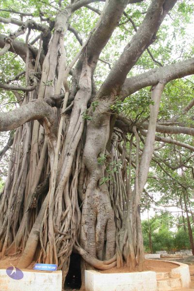 File:20120513 Photo 1040 1RJwTGG8nQumxZuV-6s DBVMx aQLUzJN.JPG