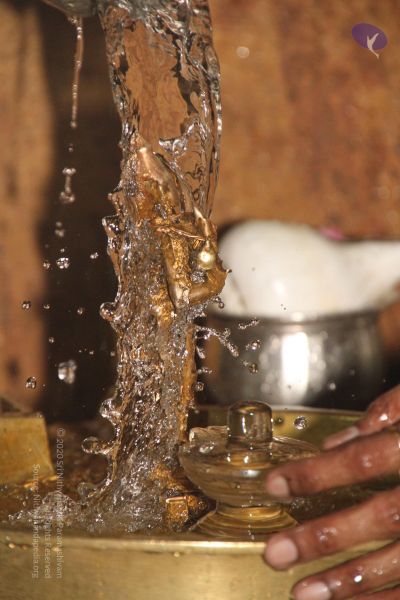 File:20120514 Photo 1032 1LMRZXmwVCprwxqJ2 xKCncrbA TBcSDI.JPG