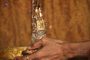 20120514 Photo 1042 1ZLedYT 1VP1zjqgGbg1jRqvDisgRO6YG.JPG