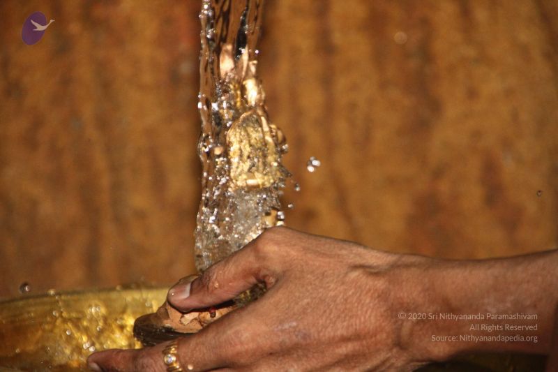 File:20120514 Photo 1042 1ZLedYT 1VP1zjqgGbg1jRqvDisgRO6YG.JPG