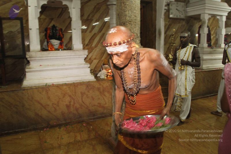 File:20120514 Photo 1075 1vdDhqoRo8GgJugJO MmZyThcvAxBg8KR.JPG