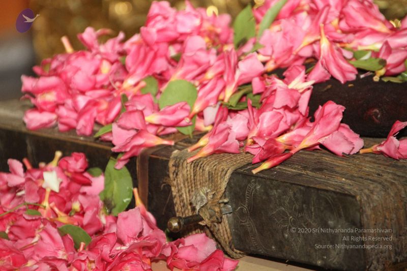 File:20120514 Photo 1092 1QepMtvrKZc5eAbDVpHAnquziipDhBlt .JPG