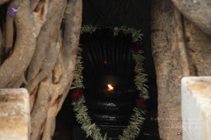 20120516 Photo 1008 1Gy4CxBSdEydiwciV8AdX04scqvpDR Pp.JPG