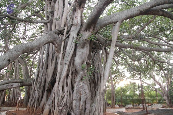 20120516 Photo 1023 1B-R9yZd YPT3AQI4cS mZz0iOL1chIaF.JPG