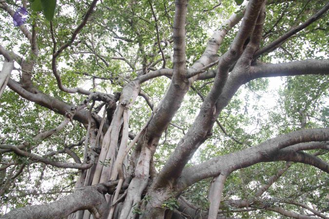 20120516 Photo 1024 1aQMcq2ZGq6PeVAn4MOhSQRZXUO1yF96J.JPG