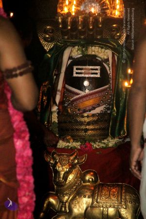 20120516 Photo 1070 1ulAo-05iWifa6rAis4EW9bBPzGT1p75M.JPG