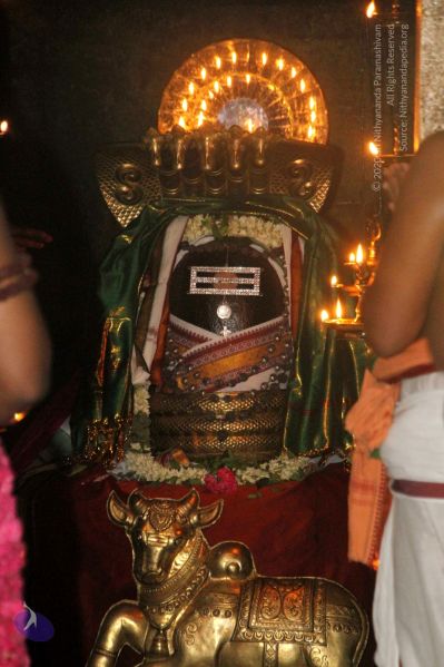 File:20120516 Photo 1076 1rjvMPW6m56itJKhuDqXSGBbzgLFgQtBT.JPG
