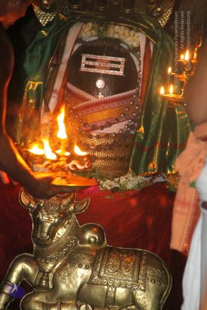 20120516 Photo 1079 1kcbODelve3YORVDC5a7rRCjEEId3RQY6.JPG