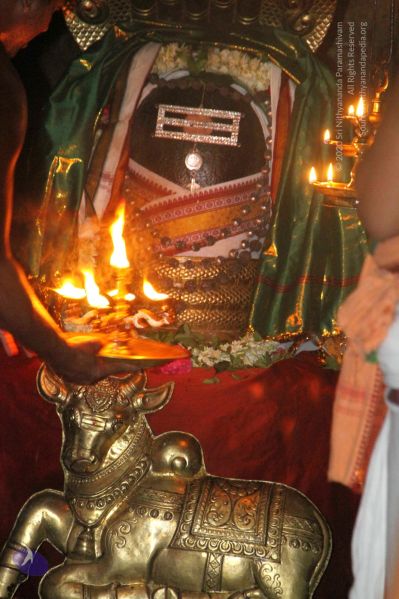File:20120516 Photo 1079 1kcbODelve3YORVDC5a7rRCjEEId3RQY6.JPG
