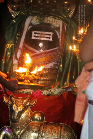 20120516 Photo 1080 1vEWYLEd5UJfJA5NWCLffRTQJTton02nz.JPG