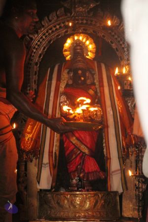 20120516 Photo 1106 1bBoPHo f6sykNZmLBujkDEyt~qvlcG6.JPG