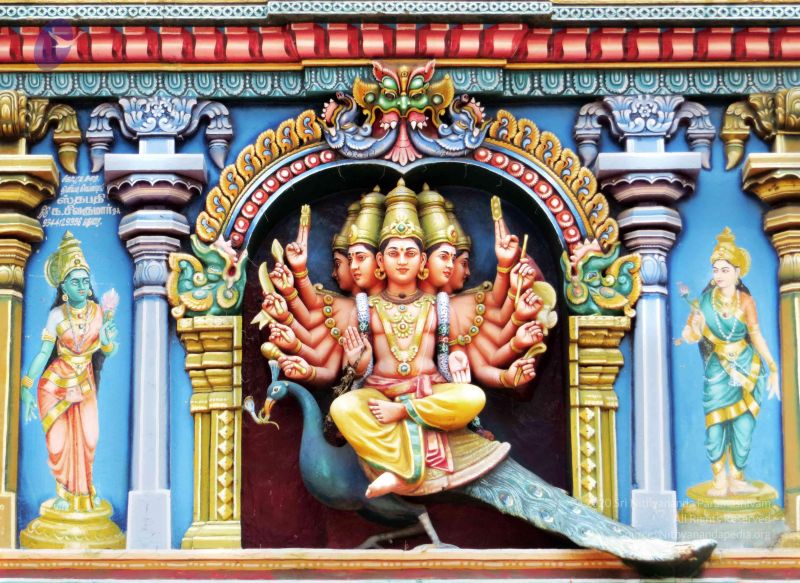 File:20120529 Photo 1030 1QPFG1t-F-E gVe4hYNB7enryTnvAqgdu.JPG