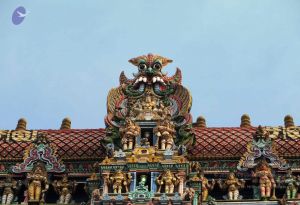 20120529 Photo 1123 1Ici2pZiF2n8ofZ4sdCUROUHTiQBQkZRf.JPG