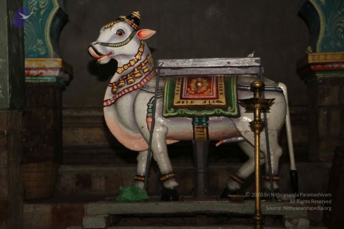 20120530 Photo 1003 12dBfs2hsu 52hxayoPREEDu3Lfi8ACcp.JPG