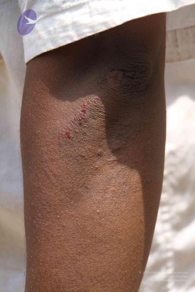 File:20120530 Photo 1004 1D3gc3vsG4cct09dlrBjfAadWZ9CPcZGw.JPG