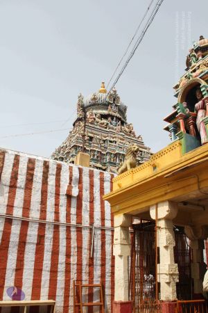 20120531 Photo 1217 1bbhYUe5wyVyUUc5F9DPGmmjVxQwdFdrg.JPG