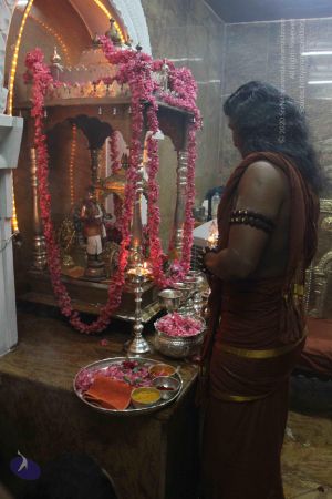 20120601 Photo 1228 1tsuApN09HsrT30WgrpneTW4wabrN6xZH.JPG