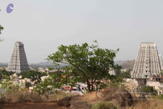 20120603 Photo 1193 1HVflUv9eE ITmwoiK3LFOHtx5JAiU vO.JPG