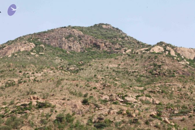 20120603 Photo 1196 1ZJOZuQ5eIgFD7jYQdGLvOxJuGa6Maskl.JPG