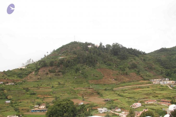 20120701 Photo 1169 1k8Os k8t957Zq3mVa1lu3WP ylqkMRX1.JPG