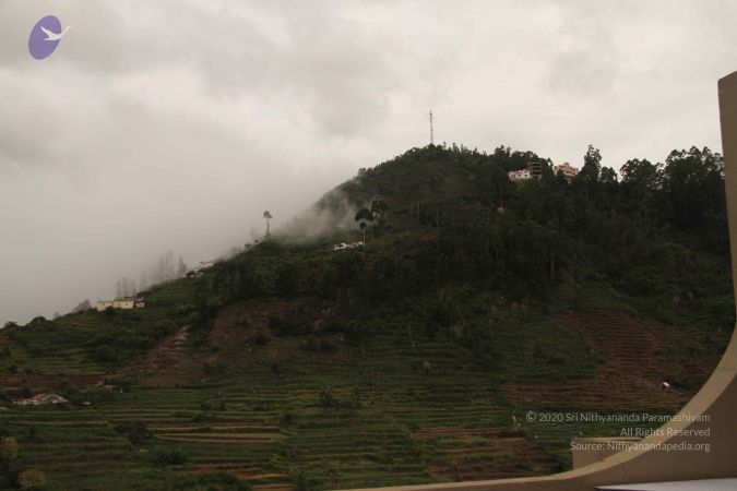 20120701 Photo 1187 1Y-6FK5Yt8lnGI4RFx8Vna6HcoPpJqpVT.JPG