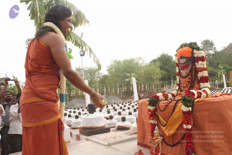 File:20120703 Photo 1080 1gMoMbkFWxRJFa Kx1ZPU4NkTc2xssfOo.JPG