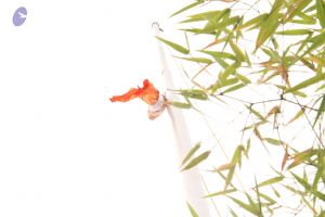 20120703 Photo 1089 1FA3j3TPZ65z8RS05CygRAPXmLhnMScDc.JPG