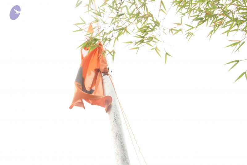 File:20120703 Photo 1096 1KkouOOHmk UbX0w5jJDQWQc9vUfe8CdL.JPG