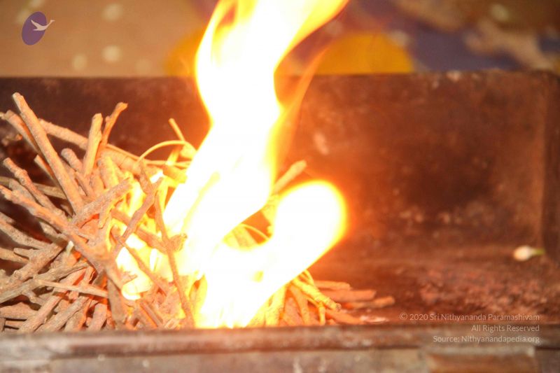 File:20120709 Photo 1330 1pKwkmkOHkkiIoka6y7Lc25WSp2iSl86s.JPG