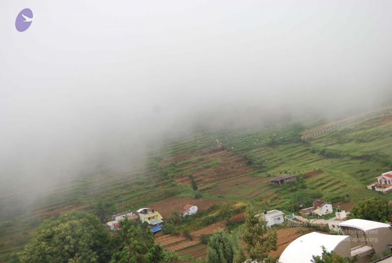 File:20120715 Photo 1102 1xaiW6DeR53vEi2eHIgGPDmwnAybYDpUy.JPG