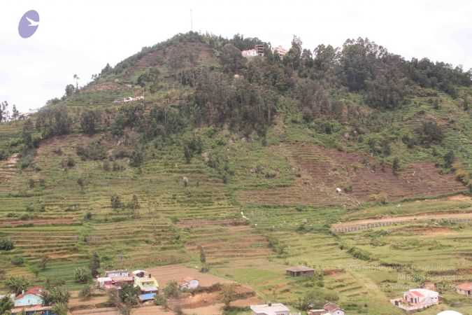 20120721 Photo 1036 1Owi2r697jcytZ ByUa9lZtVEXZWj1h6V.JPG