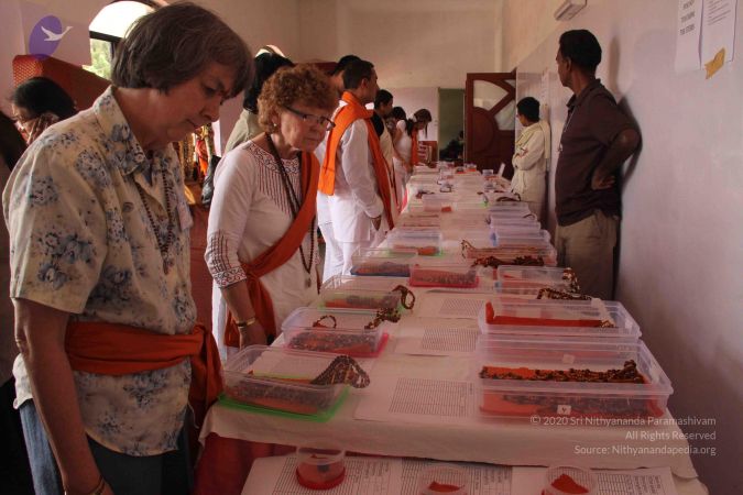 20120721 Photo 1064 1BAjJUxL-aTgXUBsBuNz2Y0YBN3O3hgsA.JPG