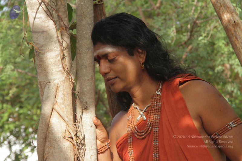 File:20120724 Photo 1016 1XXM-k3E1NyYNaMbN6TefU9LOUCziwoyD.JPG