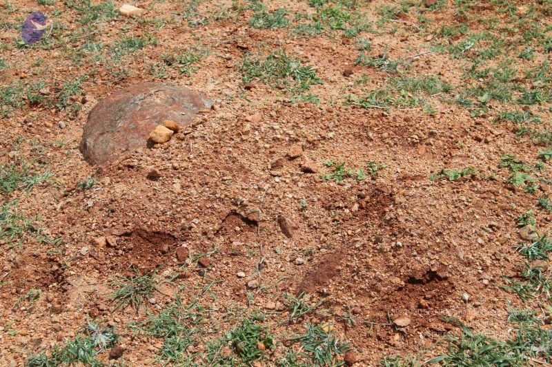 File:20120724 Photo 1294 1pQHRof-YnGr56uRX9MGMynd42ZInWhkb.JPG